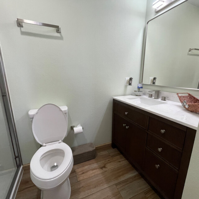 Modern bathroom with glass shower, toilet, double-sink vanity, large mirror, and wood-look tile flooring.