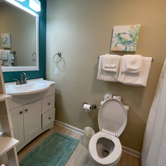 Small bathroom with a white sink vanity, toilet, towel rack, mirror, shelf, and light green rug.