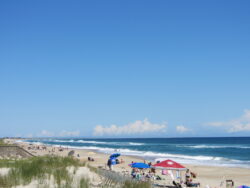 People relax under umbrellas on a sandy beach with grassy dunes and gentle ocean waves under a clear blue sky.