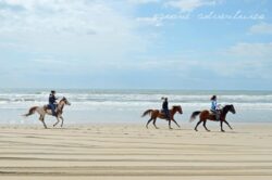 Three people ride horses along a sandy beach with the ocean and cloudy sky in the background.