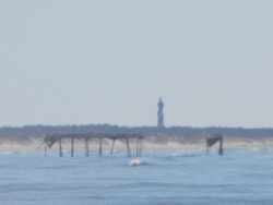 A distant lighthouse stands on the shore behind a broken, partially submerged pier in the water.