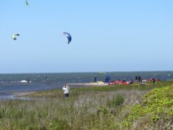 People are kiteboarding on the ocean while others gather on the grassy shore under a clear blue sky.