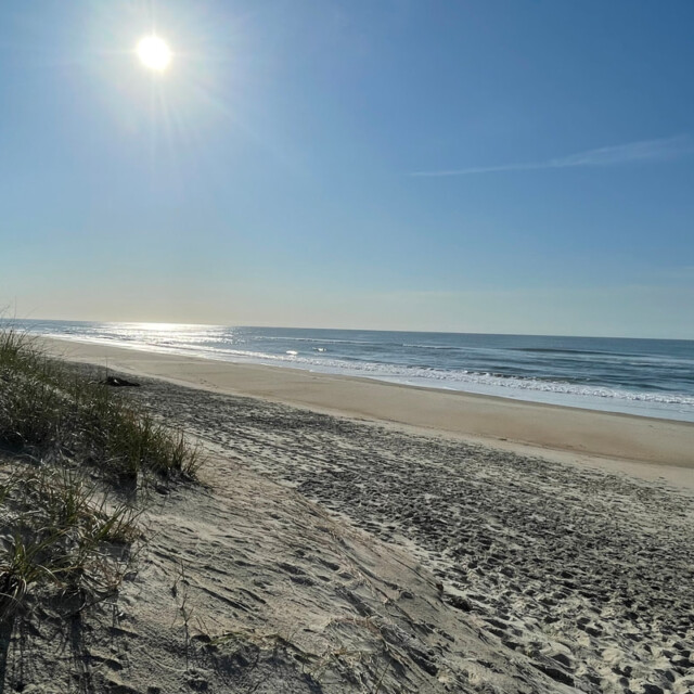 Sandy beach with gentle waves under a clear blue sky and bright sun, with grasses on a dune in the foreground.