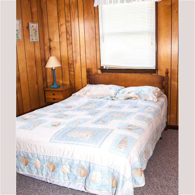 A bed with seashell-themed bedding is next to a nightstand and lamp in a wood-paneled room with a window.