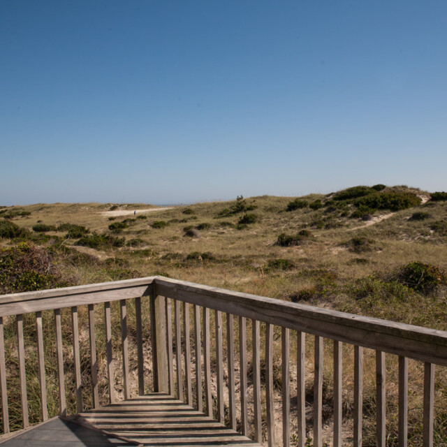 Wooden deck railing overlooks grassy sand dunes under a clear blue sky on a sunny day.