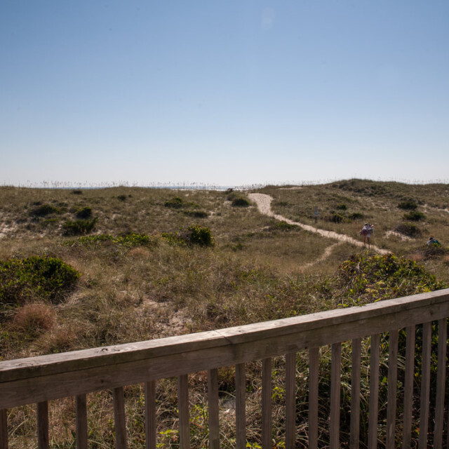 Wooden railing overlooks sandy dunes with a winding path under a clear blue sky, some greenery in the foreground.