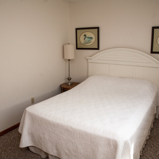 A small bedroom with a bed, white bedspread, nightstand with lamp, and two framed bird pictures on the wall.