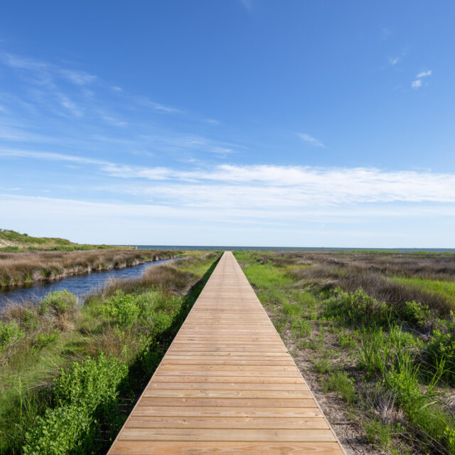Wooden boardwalk stretches through grassy wetlands under a clear blue sky, with water running beside the path.