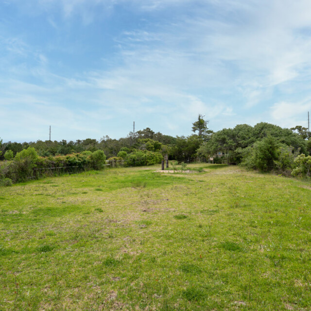 Open grassy field with scattered trees and shrubs under a blue sky with light clouds.