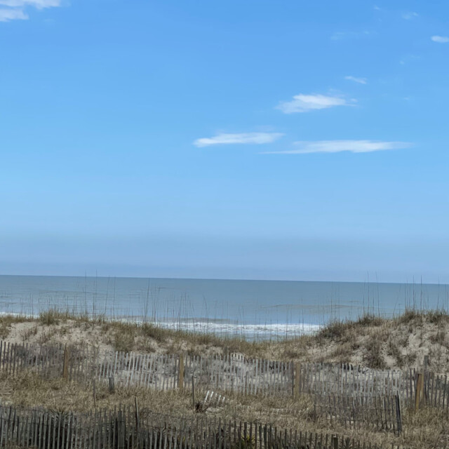 Sandy dunes with sparse grass and wooden fences overlook a calm ocean under a mostly clear blue sky.