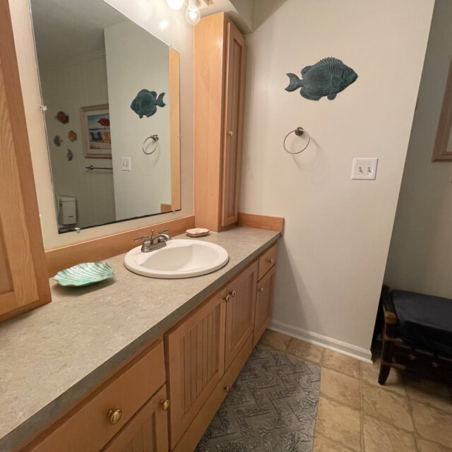 Bathroom with a single sink, light wood cabinets, wall fish decor, and a framed beach scene.