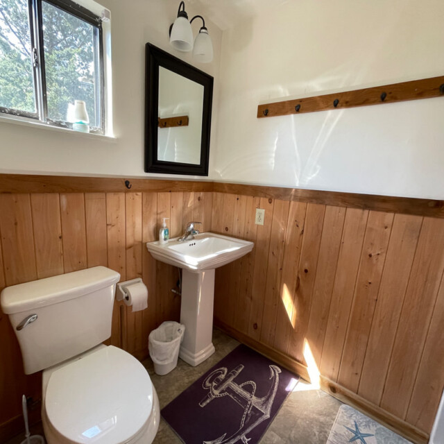 Small bathroom with wood paneling, a toilet, pedestal sink, mirror, window, wall hooks, and anchor-themed mat.