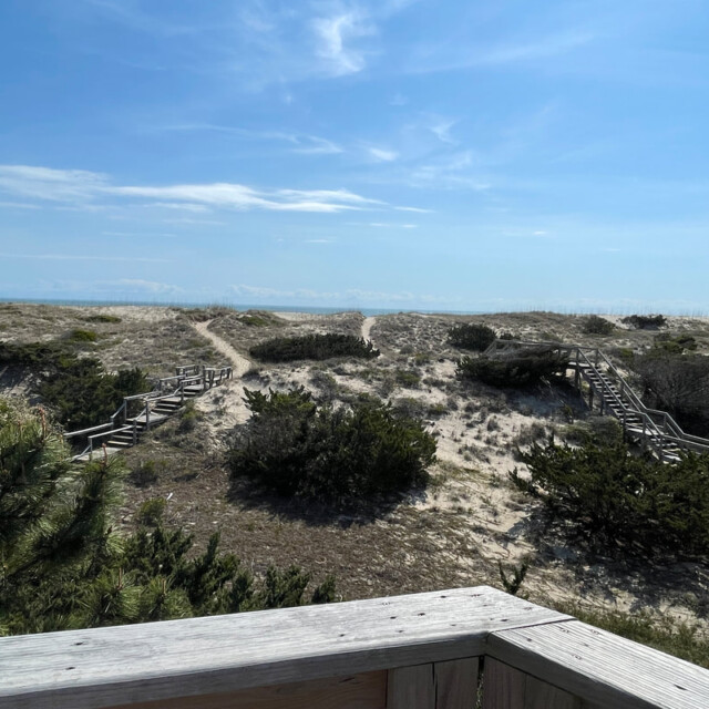 Wooden walkways lead over sandy dunes to the beach under a blue sky, viewed from a wooden deck.