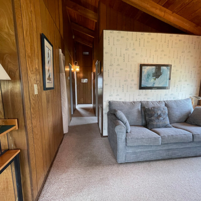 Living room with wood-paneled walls, a gray sofa, carpeted floor, and wallpaper with a framed map.