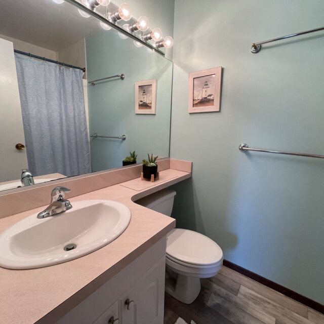 Bathroom with a sink, toilet, mirror, light fixtures, wall art, towel bars, and potted plants on the counter.