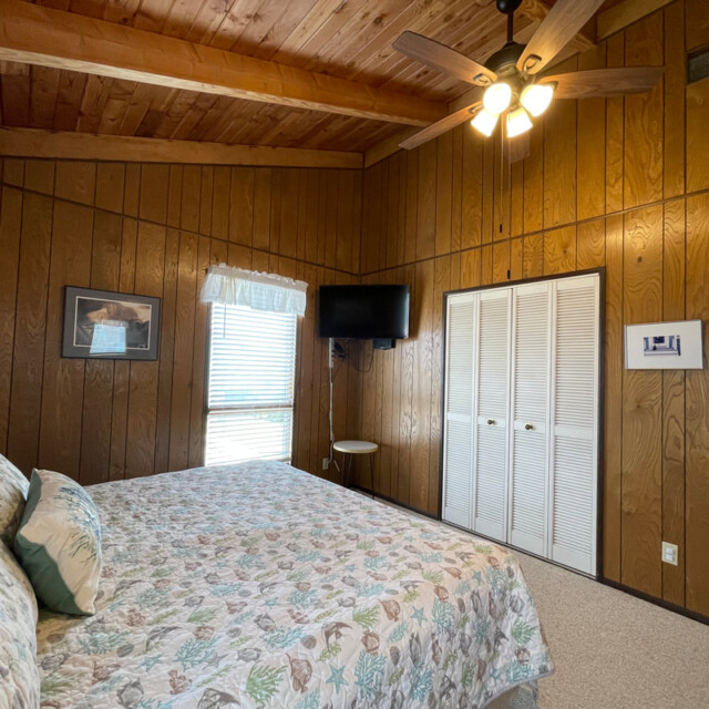 Bedroom with wood-paneled walls, ceiling fan, bed with floral bedding, window, TV, and white closet doors.