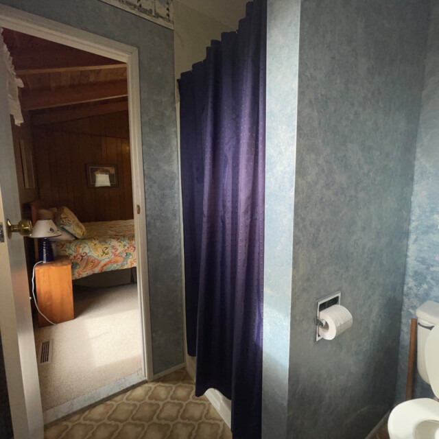 Small bathroom with blue walls, shower with dark curtain, toilet, and view into a bedroom with a bed and nightstand.