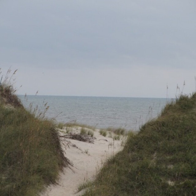 Sandy path between grassy dunes leading to a calm, overcast beach with gentle waves in the distance.