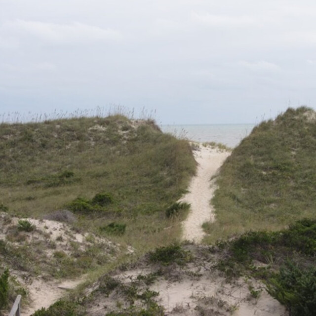 A sandy path winds through grassy dunes toward a calm ocean under an overcast sky.