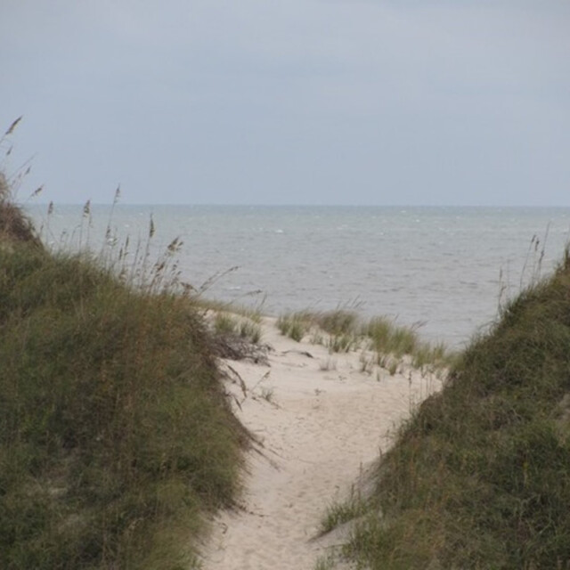Sand path between grassy dunes leading to a calm, grey ocean under a cloudy sky.