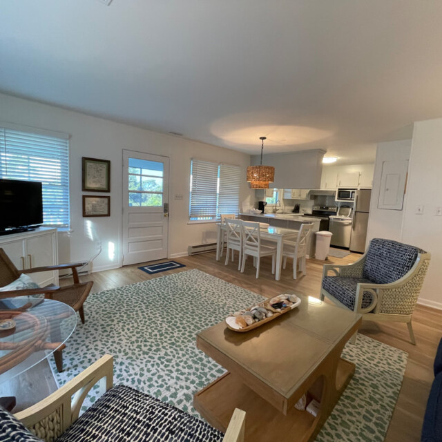 Bright living and dining area with modern furniture, TV, rug, and kitchen visible in the background.