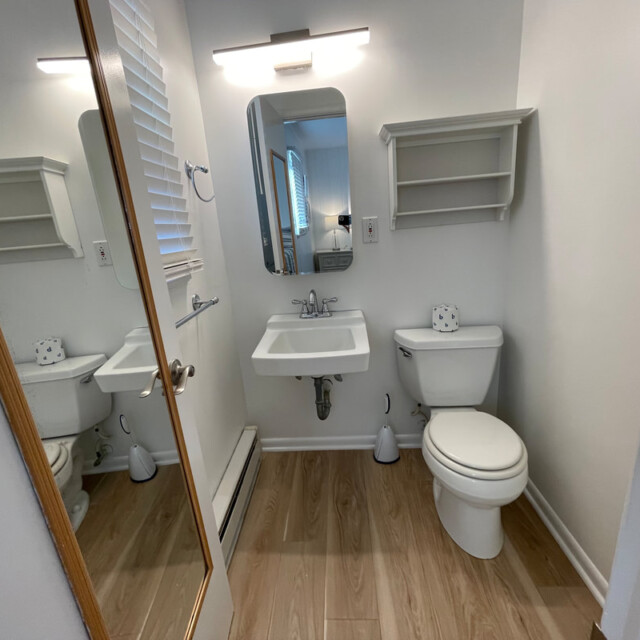 Small bathroom with a wall mirror, sink, toilet, shelves, and light fixture; wood-patterned floor.