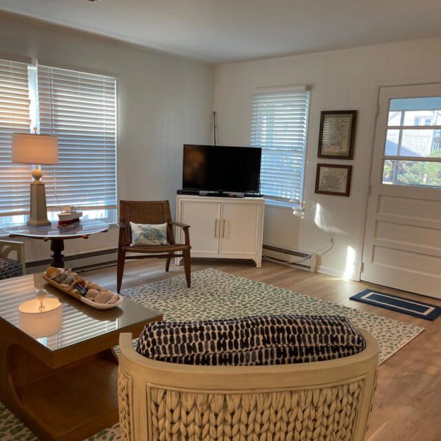 Bright living room with modern furniture, TV on a stand, large windows, and a door letting in natural light.