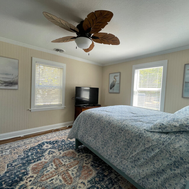 Bedroom with a blue patterned bedspread, rug, TV, large windows, and nature-themed wall art.