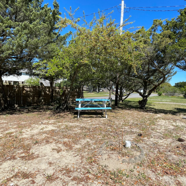 A blue picnic table sits in a sunny, sandy yard surrounded by trees and a wooden fence.