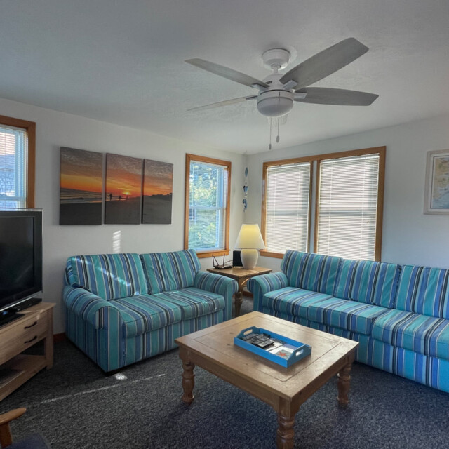 Living room with striped blue sofas, a wooden coffee table, a TV, large windows, and sunset artwork on the wall.