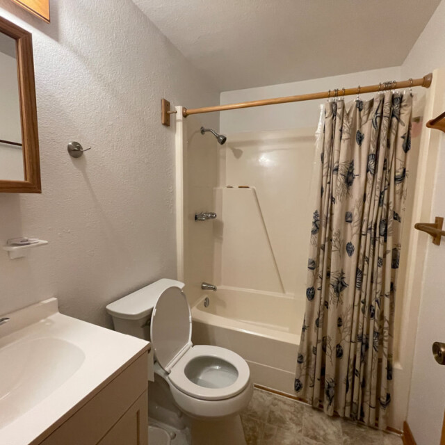 Small bathroom with white sink, toilet with open lid, bathtub-shower combo, and a patterned shower curtain.