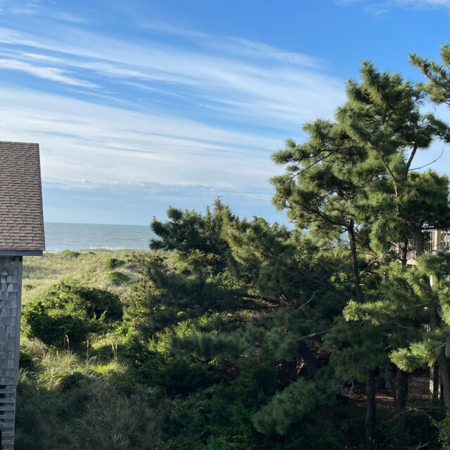 House and trees in foreground with ocean and blue sky in the background on a sunny day.