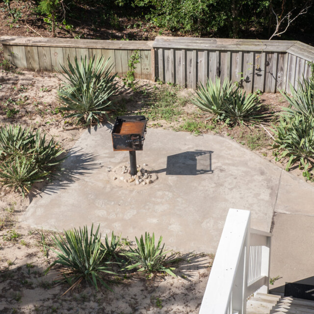 A small grill is mounted on a concrete pad, surrounded by yucca plants and a wooden fence in an outdoor area.
